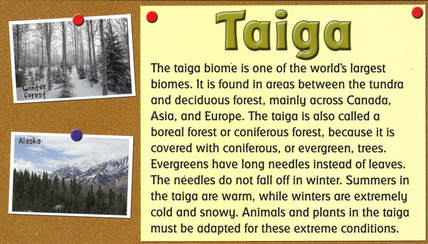 land of the taiga biome special use
