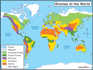 Biomes - We Grow Thinkers